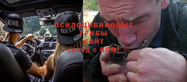 амф Инта