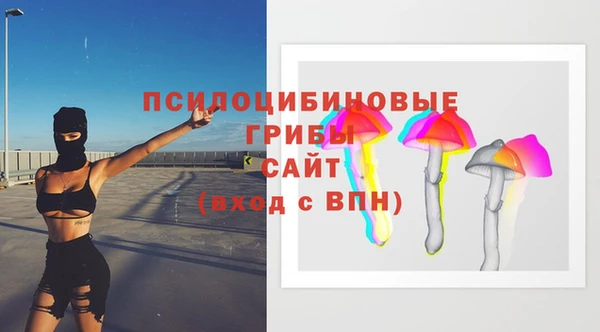 марки nbome Карпинск