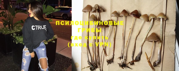 молекула духа Киренск