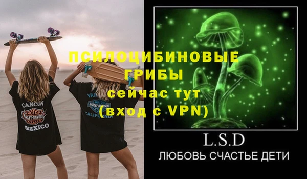 хмурый Касимов