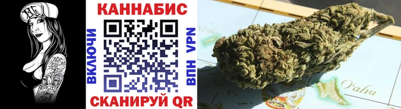 Бошки марихуана OG Kush  маркетплейс какой сайт  ссылка на мегу ССЫЛКА  Кашира  купить наркотик 